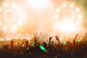 festivals vs concerts