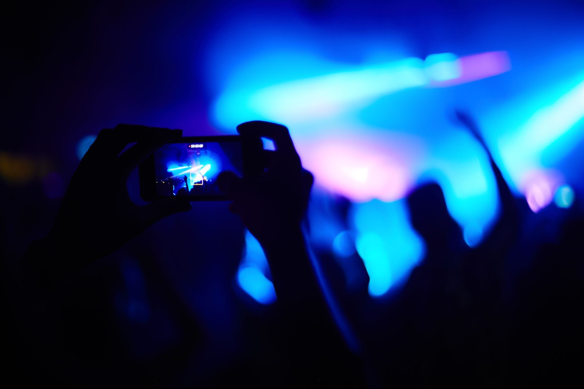 live concerts